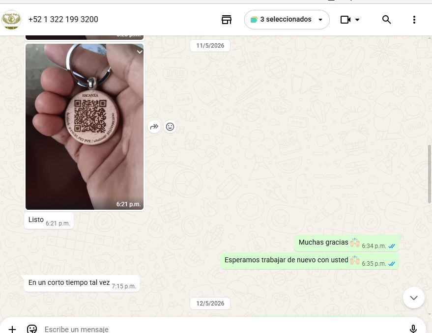 Conversación de WhatsApp con Angel Pet